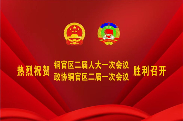 熱烈祝賀公司董事、副總經理王從偉被選為 第二屆銅陵市銅官區政協常務委員